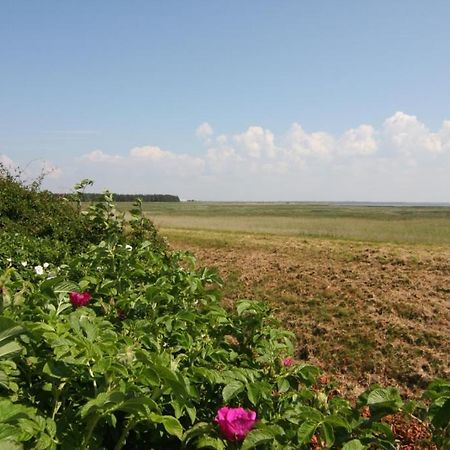 Haus Heefkant Whg 10 Sylt Dış mekan fotoğraf